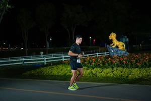 BIB: 
                            <button type="button" onclick="openModal(26171208)" class="btn btn-primary btn-sm float-right btn-popup" data-toggle="modal" data-target=".modal-high-quality">
                        <i class="fas fa-shopping-cart"></i> Add to Cart
                    </button>
                                            <button type="button" onclick="isThisMe(26171208, true)" class="btn btn-success btn-sm float-right btn-popup btn-isme hidden" data-toggle="tooltip" data-placement="bottom" title="นี่คือรูปของคุณใช่ไหม คลิกที่นี่เพื่อเอาเข้าอัลบั้ม">
                        <i class="fas fa-plus"></i> Add to album
                    </button>
                    <button type="button" onclick="isThisMe(26171208, false)" class="btn btn-warning btn-sm float-right btn-popup btn-isnotme hidden">
                        <i class="fas fa-ban"></i> Remove from album
                    </button>