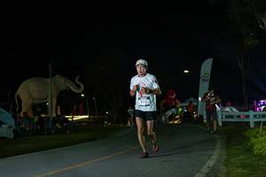 BIB: 
                            <button type="button" onclick="openModal(26172926)" class="btn btn-primary btn-sm float-right btn-popup" data-toggle="modal" data-target=".modal-high-quality">
                        <i class="fas fa-shopping-cart"></i> Add to Cart
                    </button>
                                            <button type="button" onclick="isThisMe(26172926, true)" class="btn btn-success btn-sm float-right btn-popup btn-isme hidden" data-toggle="tooltip" data-placement="bottom" title="นี่คือรูปของคุณใช่ไหม คลิกที่นี่เพื่อเอาเข้าอัลบั้ม">
                        <i class="fas fa-plus"></i> Add to album
                    </button>
                    <button type="button" onclick="isThisMe(26172926, false)" class="btn btn-warning btn-sm float-right btn-popup btn-isnotme hidden">
                        <i class="fas fa-ban"></i> Remove from album
                    </button>