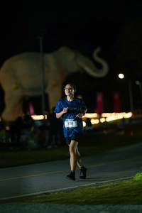 BIB: 
                            <button type="button" onclick="openModal(26173082)" class="btn btn-primary btn-sm float-right btn-popup" data-toggle="modal" data-target=".modal-high-quality">
                        <i class="fas fa-shopping-cart"></i> Add to Cart
                    </button>
                                            <button type="button" onclick="isThisMe(26173082, true)" class="btn btn-success btn-sm float-right btn-popup btn-isme hidden" data-toggle="tooltip" data-placement="bottom" title="นี่คือรูปของคุณใช่ไหม คลิกที่นี่เพื่อเอาเข้าอัลบั้ม">
                        <i class="fas fa-plus"></i> Add to album
                    </button>
                    <button type="button" onclick="isThisMe(26173082, false)" class="btn btn-warning btn-sm float-right btn-popup btn-isnotme hidden">
                        <i class="fas fa-ban"></i> Remove from album
                    </button>