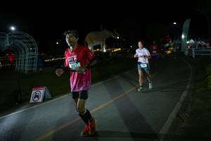 BIB: 
                            <button type="button" onclick="openModal(26171704)" class="btn btn-primary btn-sm float-right btn-popup" data-toggle="modal" data-target=".modal-high-quality">
                        <i class="fas fa-shopping-cart"></i> Add to Cart
                    </button>
                                            <button type="button" onclick="isThisMe(26171704, true)" class="btn btn-success btn-sm float-right btn-popup btn-isme hidden" data-toggle="tooltip" data-placement="bottom" title="นี่คือรูปของคุณใช่ไหม คลิกที่นี่เพื่อเอาเข้าอัลบั้ม">
                        <i class="fas fa-plus"></i> Add to album
                    </button>
                    <button type="button" onclick="isThisMe(26171704, false)" class="btn btn-warning btn-sm float-right btn-popup btn-isnotme hidden">
                        <i class="fas fa-ban"></i> Remove from album
                    </button>