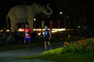 BIB: 
                            <button type="button" onclick="openModal(26173070)" class="btn btn-primary btn-sm float-right btn-popup" data-toggle="modal" data-target=".modal-high-quality">
                        <i class="fas fa-shopping-cart"></i> Add to Cart
                    </button>
                                            <button type="button" onclick="isThisMe(26173070, true)" class="btn btn-success btn-sm float-right btn-popup btn-isme hidden" data-toggle="tooltip" data-placement="bottom" title="นี่คือรูปของคุณใช่ไหม คลิกที่นี่เพื่อเอาเข้าอัลบั้ม">
                        <i class="fas fa-plus"></i> Add to album
                    </button>
                    <button type="button" onclick="isThisMe(26173070, false)" class="btn btn-warning btn-sm float-right btn-popup btn-isnotme hidden">
                        <i class="fas fa-ban"></i> Remove from album
                    </button>