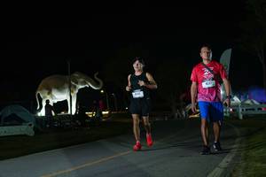 BIB: 
                            <button type="button" onclick="openModal(26172126)" class="btn btn-primary btn-sm float-right btn-popup" data-toggle="modal" data-target=".modal-high-quality">
                        <i class="fas fa-shopping-cart"></i> Add to Cart
                    </button>
                                            <button type="button" onclick="isThisMe(26172126, true)" class="btn btn-success btn-sm float-right btn-popup btn-isme hidden" data-toggle="tooltip" data-placement="bottom" title="นี่คือรูปของคุณใช่ไหม คลิกที่นี่เพื่อเอาเข้าอัลบั้ม">
                        <i class="fas fa-plus"></i> Add to album
                    </button>
                    <button type="button" onclick="isThisMe(26172126, false)" class="btn btn-warning btn-sm float-right btn-popup btn-isnotme hidden">
                        <i class="fas fa-ban"></i> Remove from album
                    </button>