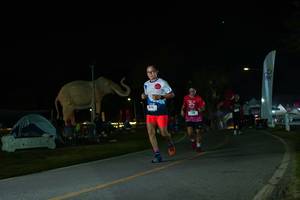 BIB: 
                            <button type="button" onclick="openModal(26172430)" class="btn btn-primary btn-sm float-right btn-popup" data-toggle="modal" data-target=".modal-high-quality">
                        <i class="fas fa-shopping-cart"></i> Add to Cart
                    </button>
                                            <button type="button" onclick="isThisMe(26172430, true)" class="btn btn-success btn-sm float-right btn-popup btn-isme hidden" data-toggle="tooltip" data-placement="bottom" title="นี่คือรูปของคุณใช่ไหม คลิกที่นี่เพื่อเอาเข้าอัลบั้ม">
                        <i class="fas fa-plus"></i> Add to album
                    </button>
                    <button type="button" onclick="isThisMe(26172430, false)" class="btn btn-warning btn-sm float-right btn-popup btn-isnotme hidden">
                        <i class="fas fa-ban"></i> Remove from album
                    </button>