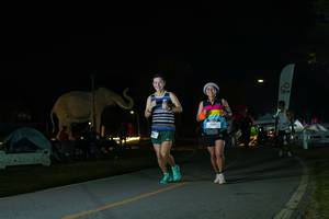 BIB: 
                            <button type="button" onclick="openModal(26172767)" class="btn btn-primary btn-sm float-right btn-popup" data-toggle="modal" data-target=".modal-high-quality">
                        <i class="fas fa-shopping-cart"></i> Add to Cart
                    </button>
                                            <button type="button" onclick="isThisMe(26172767, true)" class="btn btn-success btn-sm float-right btn-popup btn-isme hidden" data-toggle="tooltip" data-placement="bottom" title="นี่คือรูปของคุณใช่ไหม คลิกที่นี่เพื่อเอาเข้าอัลบั้ม">
                        <i class="fas fa-plus"></i> Add to album
                    </button>
                    <button type="button" onclick="isThisMe(26172767, false)" class="btn btn-warning btn-sm float-right btn-popup btn-isnotme hidden">
                        <i class="fas fa-ban"></i> Remove from album
                    </button>