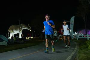 BIB: 
                            <button type="button" onclick="openModal(26172159)" class="btn btn-primary btn-sm float-right btn-popup" data-toggle="modal" data-target=".modal-high-quality">
                        <i class="fas fa-shopping-cart"></i> Add to Cart
                    </button>
                                            <button type="button" onclick="isThisMe(26172159, true)" class="btn btn-success btn-sm float-right btn-popup btn-isme hidden" data-toggle="tooltip" data-placement="bottom" title="นี่คือรูปของคุณใช่ไหม คลิกที่นี่เพื่อเอาเข้าอัลบั้ม">
                        <i class="fas fa-plus"></i> Add to album
                    </button>
                    <button type="button" onclick="isThisMe(26172159, false)" class="btn btn-warning btn-sm float-right btn-popup btn-isnotme hidden">
                        <i class="fas fa-ban"></i> Remove from album
                    </button>