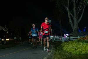 BIB: 
                            <button type="button" onclick="openModal(26172781)" class="btn btn-primary btn-sm float-right btn-popup" data-toggle="modal" data-target=".modal-high-quality">
                        <i class="fas fa-shopping-cart"></i> Add to Cart
                    </button>
                                            <button type="button" onclick="isThisMe(26172781, true)" class="btn btn-success btn-sm float-right btn-popup btn-isme hidden" data-toggle="tooltip" data-placement="bottom" title="นี่คือรูปของคุณใช่ไหม คลิกที่นี่เพื่อเอาเข้าอัลบั้ม">
                        <i class="fas fa-plus"></i> Add to album
                    </button>
                    <button type="button" onclick="isThisMe(26172781, false)" class="btn btn-warning btn-sm float-right btn-popup btn-isnotme hidden">
                        <i class="fas fa-ban"></i> Remove from album
                    </button>