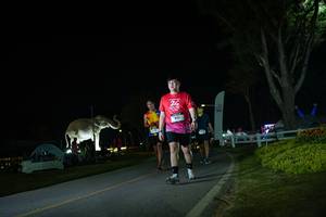 BIB: 
                            <button type="button" onclick="openModal(26171994)" class="btn btn-primary btn-sm float-right btn-popup" data-toggle="modal" data-target=".modal-high-quality">
                        <i class="fas fa-shopping-cart"></i> Add to Cart
                    </button>
                                            <button type="button" onclick="isThisMe(26171994, true)" class="btn btn-success btn-sm float-right btn-popup btn-isme hidden" data-toggle="tooltip" data-placement="bottom" title="นี่คือรูปของคุณใช่ไหม คลิกที่นี่เพื่อเอาเข้าอัลบั้ม">
                        <i class="fas fa-plus"></i> Add to album
                    </button>
                    <button type="button" onclick="isThisMe(26171994, false)" class="btn btn-warning btn-sm float-right btn-popup btn-isnotme hidden">
                        <i class="fas fa-ban"></i> Remove from album
                    </button>