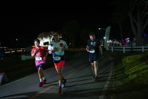 BIB: 
                            <button type="button" onclick="openModal(26171809)" class="btn btn-primary btn-sm float-right btn-popup" data-toggle="modal" data-target=".modal-high-quality">
                        <i class="fas fa-shopping-cart"></i> Add to Cart
                    </button>
                                            <button type="button" onclick="isThisMe(26171809, true)" class="btn btn-success btn-sm float-right btn-popup btn-isme hidden" data-toggle="tooltip" data-placement="bottom" title="นี่คือรูปของคุณใช่ไหม คลิกที่นี่เพื่อเอาเข้าอัลบั้ม">
                        <i class="fas fa-plus"></i> Add to album
                    </button>
                    <button type="button" onclick="isThisMe(26171809, false)" class="btn btn-warning btn-sm float-right btn-popup btn-isnotme hidden">
                        <i class="fas fa-ban"></i> Remove from album
                    </button>