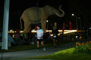 BIB: 
                            <button type="button" onclick="openModal(26173067)" class="btn btn-primary btn-sm float-right btn-popup" data-toggle="modal" data-target=".modal-high-quality">
                        <i class="fas fa-shopping-cart"></i> Add to Cart
                    </button>
                                            <button type="button" onclick="isThisMe(26173067, true)" class="btn btn-success btn-sm float-right btn-popup btn-isme hidden" data-toggle="tooltip" data-placement="bottom" title="นี่คือรูปของคุณใช่ไหม คลิกที่นี่เพื่อเอาเข้าอัลบั้ม">
                        <i class="fas fa-plus"></i> Add to album
                    </button>
                    <button type="button" onclick="isThisMe(26173067, false)" class="btn btn-warning btn-sm float-right btn-popup btn-isnotme hidden">
                        <i class="fas fa-ban"></i> Remove from album
                    </button>