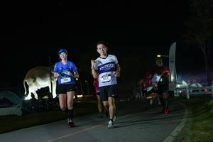 BIB: 
                            <button type="button" onclick="openModal(26172301)" class="btn btn-primary btn-sm float-right btn-popup" data-toggle="modal" data-target=".modal-high-quality">
                        <i class="fas fa-shopping-cart"></i> Add to Cart
                    </button>
                                            <button type="button" onclick="isThisMe(26172301, true)" class="btn btn-success btn-sm float-right btn-popup btn-isme hidden" data-toggle="tooltip" data-placement="bottom" title="นี่คือรูปของคุณใช่ไหม คลิกที่นี่เพื่อเอาเข้าอัลบั้ม">
                        <i class="fas fa-plus"></i> Add to album
                    </button>
                    <button type="button" onclick="isThisMe(26172301, false)" class="btn btn-warning btn-sm float-right btn-popup btn-isnotme hidden">
                        <i class="fas fa-ban"></i> Remove from album
                    </button>