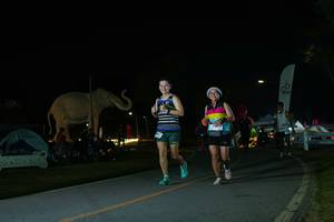 BIB: 
                            <button type="button" onclick="openModal(26172763)" class="btn btn-primary btn-sm float-right btn-popup" data-toggle="modal" data-target=".modal-high-quality">
                        <i class="fas fa-shopping-cart"></i> Add to Cart
                    </button>
                                            <button type="button" onclick="isThisMe(26172763, true)" class="btn btn-success btn-sm float-right btn-popup btn-isme hidden" data-toggle="tooltip" data-placement="bottom" title="นี่คือรูปของคุณใช่ไหม คลิกที่นี่เพื่อเอาเข้าอัลบั้ม">
                        <i class="fas fa-plus"></i> Add to album
                    </button>
                    <button type="button" onclick="isThisMe(26172763, false)" class="btn btn-warning btn-sm float-right btn-popup btn-isnotme hidden">
                        <i class="fas fa-ban"></i> Remove from album
                    </button>