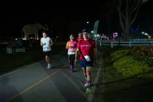 BIB: 
                            <button type="button" onclick="openModal(26171697)" class="btn btn-primary btn-sm float-right btn-popup" data-toggle="modal" data-target=".modal-high-quality">
                        <i class="fas fa-shopping-cart"></i> Add to Cart
                    </button>
                                            <button type="button" onclick="isThisMe(26171697, true)" class="btn btn-success btn-sm float-right btn-popup btn-isme hidden" data-toggle="tooltip" data-placement="bottom" title="นี่คือรูปของคุณใช่ไหม คลิกที่นี่เพื่อเอาเข้าอัลบั้ม">
                        <i class="fas fa-plus"></i> Add to album
                    </button>
                    <button type="button" onclick="isThisMe(26171697, false)" class="btn btn-warning btn-sm float-right btn-popup btn-isnotme hidden">
                        <i class="fas fa-ban"></i> Remove from album
                    </button>