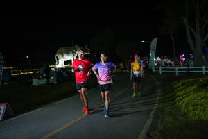 BIB: 
                            <button type="button" onclick="openModal(26171764)" class="btn btn-primary btn-sm float-right btn-popup" data-toggle="modal" data-target=".modal-high-quality">
                        <i class="fas fa-shopping-cart"></i> Add to Cart
                    </button>
                                            <button type="button" onclick="isThisMe(26171764, true)" class="btn btn-success btn-sm float-right btn-popup btn-isme hidden" data-toggle="tooltip" data-placement="bottom" title="นี่คือรูปของคุณใช่ไหม คลิกที่นี่เพื่อเอาเข้าอัลบั้ม">
                        <i class="fas fa-plus"></i> Add to album
                    </button>
                    <button type="button" onclick="isThisMe(26171764, false)" class="btn btn-warning btn-sm float-right btn-popup btn-isnotme hidden">
                        <i class="fas fa-ban"></i> Remove from album
                    </button>