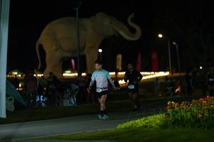 BIB: 
                            <button type="button" onclick="openModal(26173066)" class="btn btn-primary btn-sm float-right btn-popup" data-toggle="modal" data-target=".modal-high-quality">
                        <i class="fas fa-shopping-cart"></i> Add to Cart
                    </button>
                                            <button type="button" onclick="isThisMe(26173066, true)" class="btn btn-success btn-sm float-right btn-popup btn-isme hidden" data-toggle="tooltip" data-placement="bottom" title="นี่คือรูปของคุณใช่ไหม คลิกที่นี่เพื่อเอาเข้าอัลบั้ม">
                        <i class="fas fa-plus"></i> Add to album
                    </button>
                    <button type="button" onclick="isThisMe(26173066, false)" class="btn btn-warning btn-sm float-right btn-popup btn-isnotme hidden">
                        <i class="fas fa-ban"></i> Remove from album
                    </button>