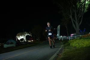 BIB: 
                            <button type="button" onclick="openModal(26171932)" class="btn btn-primary btn-sm float-right btn-popup" data-toggle="modal" data-target=".modal-high-quality">
                        <i class="fas fa-shopping-cart"></i> Add to Cart
                    </button>
                                            <button type="button" onclick="isThisMe(26171932, true)" class="btn btn-success btn-sm float-right btn-popup btn-isme hidden" data-toggle="tooltip" data-placement="bottom" title="นี่คือรูปของคุณใช่ไหม คลิกที่นี่เพื่อเอาเข้าอัลบั้ม">
                        <i class="fas fa-plus"></i> Add to album
                    </button>
                    <button type="button" onclick="isThisMe(26171932, false)" class="btn btn-warning btn-sm float-right btn-popup btn-isnotme hidden">
                        <i class="fas fa-ban"></i> Remove from album
                    </button>