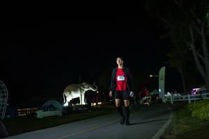 BIB: 
                            <button type="button" onclick="openModal(26172049)" class="btn btn-primary btn-sm float-right btn-popup" data-toggle="modal" data-target=".modal-high-quality">
                        <i class="fas fa-shopping-cart"></i> Add to Cart
                    </button>
                                            <button type="button" onclick="isThisMe(26172049, true)" class="btn btn-success btn-sm float-right btn-popup btn-isme hidden" data-toggle="tooltip" data-placement="bottom" title="นี่คือรูปของคุณใช่ไหม คลิกที่นี่เพื่อเอาเข้าอัลบั้ม">
                        <i class="fas fa-plus"></i> Add to album
                    </button>
                    <button type="button" onclick="isThisMe(26172049, false)" class="btn btn-warning btn-sm float-right btn-popup btn-isnotme hidden">
                        <i class="fas fa-ban"></i> Remove from album
                    </button>