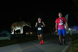 BIB: 
                            <button type="button" onclick="openModal(26172128)" class="btn btn-primary btn-sm float-right btn-popup" data-toggle="modal" data-target=".modal-high-quality">
                        <i class="fas fa-shopping-cart"></i> Add to Cart
                    </button>
                                            <button type="button" onclick="isThisMe(26172128, true)" class="btn btn-success btn-sm float-right btn-popup btn-isme hidden" data-toggle="tooltip" data-placement="bottom" title="นี่คือรูปของคุณใช่ไหม คลิกที่นี่เพื่อเอาเข้าอัลบั้ม">
                        <i class="fas fa-plus"></i> Add to album
                    </button>
                    <button type="button" onclick="isThisMe(26172128, false)" class="btn btn-warning btn-sm float-right btn-popup btn-isnotme hidden">
                        <i class="fas fa-ban"></i> Remove from album
                    </button>