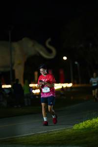 BIB: 
                            <button type="button" onclick="openModal(26173084)" class="btn btn-primary btn-sm float-right btn-popup" data-toggle="modal" data-target=".modal-high-quality">
                        <i class="fas fa-shopping-cart"></i> Add to Cart
                    </button>
                                            <button type="button" onclick="isThisMe(26173084, true)" class="btn btn-success btn-sm float-right btn-popup btn-isme hidden" data-toggle="tooltip" data-placement="bottom" title="นี่คือรูปของคุณใช่ไหม คลิกที่นี่เพื่อเอาเข้าอัลบั้ม">
                        <i class="fas fa-plus"></i> Add to album
                    </button>
                    <button type="button" onclick="isThisMe(26173084, false)" class="btn btn-warning btn-sm float-right btn-popup btn-isnotme hidden">
                        <i class="fas fa-ban"></i> Remove from album
                    </button>