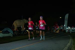 BIB: 
                            <button type="button" onclick="openModal(26172773)" class="btn btn-primary btn-sm float-right btn-popup" data-toggle="modal" data-target=".modal-high-quality">
                        <i class="fas fa-shopping-cart"></i> Add to Cart
                    </button>
                                            <button type="button" onclick="isThisMe(26172773, true)" class="btn btn-success btn-sm float-right btn-popup btn-isme hidden" data-toggle="tooltip" data-placement="bottom" title="นี่คือรูปของคุณใช่ไหม คลิกที่นี่เพื่อเอาเข้าอัลบั้ม">
                        <i class="fas fa-plus"></i> Add to album
                    </button>
                    <button type="button" onclick="isThisMe(26172773, false)" class="btn btn-warning btn-sm float-right btn-popup btn-isnotme hidden">
                        <i class="fas fa-ban"></i> Remove from album
                    </button>