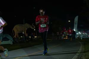 BIB: 
                            <button type="button" onclick="openModal(26172509)" class="btn btn-primary btn-sm float-right btn-popup" data-toggle="modal" data-target=".modal-high-quality">
                        <i class="fas fa-shopping-cart"></i> Add to Cart
                    </button>
                                            <button type="button" onclick="isThisMe(26172509, true)" class="btn btn-success btn-sm float-right btn-popup btn-isme hidden" data-toggle="tooltip" data-placement="bottom" title="นี่คือรูปของคุณใช่ไหม คลิกที่นี่เพื่อเอาเข้าอัลบั้ม">
                        <i class="fas fa-plus"></i> Add to album
                    </button>
                    <button type="button" onclick="isThisMe(26172509, false)" class="btn btn-warning btn-sm float-right btn-popup btn-isnotme hidden">
                        <i class="fas fa-ban"></i> Remove from album
                    </button>