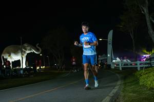 BIB: 
                            <button type="button" onclick="openModal(26172343)" class="btn btn-primary btn-sm float-right btn-popup" data-toggle="modal" data-target=".modal-high-quality">
                        <i class="fas fa-shopping-cart"></i> Add to Cart
                    </button>
                                            <button type="button" onclick="isThisMe(26172343, true)" class="btn btn-success btn-sm float-right btn-popup btn-isme hidden" data-toggle="tooltip" data-placement="bottom" title="นี่คือรูปของคุณใช่ไหม คลิกที่นี่เพื่อเอาเข้าอัลบั้ม">
                        <i class="fas fa-plus"></i> Add to album
                    </button>
                    <button type="button" onclick="isThisMe(26172343, false)" class="btn btn-warning btn-sm float-right btn-popup btn-isnotme hidden">
                        <i class="fas fa-ban"></i> Remove from album
                    </button>