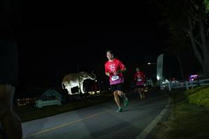 BIB: 
                            <button type="button" onclick="openModal(26171940)" class="btn btn-primary btn-sm float-right btn-popup" data-toggle="modal" data-target=".modal-high-quality">
                        <i class="fas fa-shopping-cart"></i> Add to Cart
                    </button>
                                            <button type="button" onclick="isThisMe(26171940, true)" class="btn btn-success btn-sm float-right btn-popup btn-isme hidden" data-toggle="tooltip" data-placement="bottom" title="นี่คือรูปของคุณใช่ไหม คลิกที่นี่เพื่อเอาเข้าอัลบั้ม">
                        <i class="fas fa-plus"></i> Add to album
                    </button>
                    <button type="button" onclick="isThisMe(26171940, false)" class="btn btn-warning btn-sm float-right btn-popup btn-isnotme hidden">
                        <i class="fas fa-ban"></i> Remove from album
                    </button>