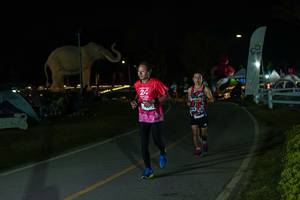 BIB: 
                            <button type="button" onclick="openModal(26173038)" class="btn btn-primary btn-sm float-right btn-popup" data-toggle="modal" data-target=".modal-high-quality">
                        <i class="fas fa-shopping-cart"></i> Add to Cart
                    </button>
                                            <button type="button" onclick="isThisMe(26173038, true)" class="btn btn-success btn-sm float-right btn-popup btn-isme hidden" data-toggle="tooltip" data-placement="bottom" title="นี่คือรูปของคุณใช่ไหม คลิกที่นี่เพื่อเอาเข้าอัลบั้ม">
                        <i class="fas fa-plus"></i> Add to album
                    </button>
                    <button type="button" onclick="isThisMe(26173038, false)" class="btn btn-warning btn-sm float-right btn-popup btn-isnotme hidden">
                        <i class="fas fa-ban"></i> Remove from album
                    </button>