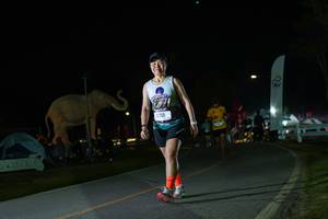 BIB: 
                            <button type="button" onclick="openModal(26172590)" class="btn btn-primary btn-sm float-right btn-popup" data-toggle="modal" data-target=".modal-high-quality">
                        <i class="fas fa-shopping-cart"></i> Add to Cart
                    </button>
                                            <button type="button" onclick="isThisMe(26172590, true)" class="btn btn-success btn-sm float-right btn-popup btn-isme hidden" data-toggle="tooltip" data-placement="bottom" title="นี่คือรูปของคุณใช่ไหม คลิกที่นี่เพื่อเอาเข้าอัลบั้ม">
                        <i class="fas fa-plus"></i> Add to album
                    </button>
                    <button type="button" onclick="isThisMe(26172590, false)" class="btn btn-warning btn-sm float-right btn-popup btn-isnotme hidden">
                        <i class="fas fa-ban"></i> Remove from album
                    </button>