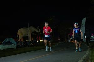 BIB: 
                            <button type="button" onclick="openModal(26172578)" class="btn btn-primary btn-sm float-right btn-popup" data-toggle="modal" data-target=".modal-high-quality">
                        <i class="fas fa-shopping-cart"></i> Add to Cart
                    </button>
                                            <button type="button" onclick="isThisMe(26172578, true)" class="btn btn-success btn-sm float-right btn-popup btn-isme hidden" data-toggle="tooltip" data-placement="bottom" title="นี่คือรูปของคุณใช่ไหม คลิกที่นี่เพื่อเอาเข้าอัลบั้ม">
                        <i class="fas fa-plus"></i> Add to album
                    </button>
                    <button type="button" onclick="isThisMe(26172578, false)" class="btn btn-warning btn-sm float-right btn-popup btn-isnotme hidden">
                        <i class="fas fa-ban"></i> Remove from album
                    </button>