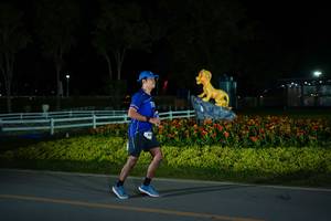 BIB: 
                            <button type="button" onclick="openModal(26170852)" class="btn btn-primary btn-sm float-right btn-popup" data-toggle="modal" data-target=".modal-high-quality">
                        <i class="fas fa-shopping-cart"></i> Add to Cart
                    </button>
                                            <button type="button" onclick="isThisMe(26170852, true)" class="btn btn-success btn-sm float-right btn-popup btn-isme hidden" data-toggle="tooltip" data-placement="bottom" title="นี่คือรูปของคุณใช่ไหม คลิกที่นี่เพื่อเอาเข้าอัลบั้ม">
                        <i class="fas fa-plus"></i> Add to album
                    </button>
                    <button type="button" onclick="isThisMe(26170852, false)" class="btn btn-warning btn-sm float-right btn-popup btn-isnotme hidden">
                        <i class="fas fa-ban"></i> Remove from album
                    </button>