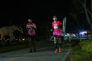 BIB: 
                            <button type="button" onclick="openModal(26172518)" class="btn btn-primary btn-sm float-right btn-popup" data-toggle="modal" data-target=".modal-high-quality">
                        <i class="fas fa-shopping-cart"></i> Add to Cart
                    </button>
                                            <button type="button" onclick="isThisMe(26172518, true)" class="btn btn-success btn-sm float-right btn-popup btn-isme hidden" data-toggle="tooltip" data-placement="bottom" title="นี่คือรูปของคุณใช่ไหม คลิกที่นี่เพื่อเอาเข้าอัลบั้ม">
                        <i class="fas fa-plus"></i> Add to album
                    </button>
                    <button type="button" onclick="isThisMe(26172518, false)" class="btn btn-warning btn-sm float-right btn-popup btn-isnotme hidden">
                        <i class="fas fa-ban"></i> Remove from album
                    </button>