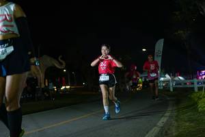 BIB: 
                            <button type="button" onclick="openModal(26172815)" class="btn btn-primary btn-sm float-right btn-popup" data-toggle="modal" data-target=".modal-high-quality">
                        <i class="fas fa-shopping-cart"></i> Add to Cart
                    </button>
                                            <button type="button" onclick="isThisMe(26172815, true)" class="btn btn-success btn-sm float-right btn-popup btn-isme hidden" data-toggle="tooltip" data-placement="bottom" title="นี่คือรูปของคุณใช่ไหม คลิกที่นี่เพื่อเอาเข้าอัลบั้ม">
                        <i class="fas fa-plus"></i> Add to album
                    </button>
                    <button type="button" onclick="isThisMe(26172815, false)" class="btn btn-warning btn-sm float-right btn-popup btn-isnotme hidden">
                        <i class="fas fa-ban"></i> Remove from album
                    </button>