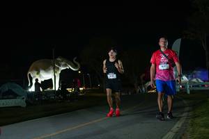 BIB: 
                            <button type="button" onclick="openModal(26172125)" class="btn btn-primary btn-sm float-right btn-popup" data-toggle="modal" data-target=".modal-high-quality">
                        <i class="fas fa-shopping-cart"></i> Add to Cart
                    </button>
                                            <button type="button" onclick="isThisMe(26172125, true)" class="btn btn-success btn-sm float-right btn-popup btn-isme hidden" data-toggle="tooltip" data-placement="bottom" title="นี่คือรูปของคุณใช่ไหม คลิกที่นี่เพื่อเอาเข้าอัลบั้ม">
                        <i class="fas fa-plus"></i> Add to album
                    </button>
                    <button type="button" onclick="isThisMe(26172125, false)" class="btn btn-warning btn-sm float-right btn-popup btn-isnotme hidden">
                        <i class="fas fa-ban"></i> Remove from album
                    </button>