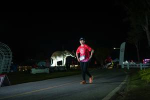 BIB: 
                            <button type="button" onclick="openModal(26171825)" class="btn btn-primary btn-sm float-right btn-popup" data-toggle="modal" data-target=".modal-high-quality">
                        <i class="fas fa-shopping-cart"></i> Add to Cart
                    </button>
                                            <button type="button" onclick="isThisMe(26171825, true)" class="btn btn-success btn-sm float-right btn-popup btn-isme hidden" data-toggle="tooltip" data-placement="bottom" title="นี่คือรูปของคุณใช่ไหม คลิกที่นี่เพื่อเอาเข้าอัลบั้ม">
                        <i class="fas fa-plus"></i> Add to album
                    </button>
                    <button type="button" onclick="isThisMe(26171825, false)" class="btn btn-warning btn-sm float-right btn-popup btn-isnotme hidden">
                        <i class="fas fa-ban"></i> Remove from album
                    </button>