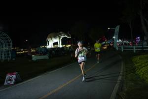 BIB: 
                            <button type="button" onclick="openModal(26171724)" class="btn btn-primary btn-sm float-right btn-popup" data-toggle="modal" data-target=".modal-high-quality">
                        <i class="fas fa-shopping-cart"></i> Add to Cart
                    </button>
                                            <button type="button" onclick="isThisMe(26171724, true)" class="btn btn-success btn-sm float-right btn-popup btn-isme hidden" data-toggle="tooltip" data-placement="bottom" title="นี่คือรูปของคุณใช่ไหม คลิกที่นี่เพื่อเอาเข้าอัลบั้ม">
                        <i class="fas fa-plus"></i> Add to album
                    </button>
                    <button type="button" onclick="isThisMe(26171724, false)" class="btn btn-warning btn-sm float-right btn-popup btn-isnotme hidden">
                        <i class="fas fa-ban"></i> Remove from album
                    </button>