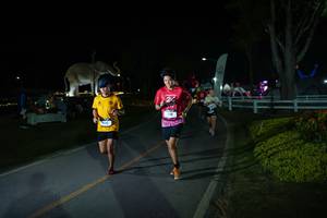 BIB: 
                            <button type="button" onclick="openModal(26171775)" class="btn btn-primary btn-sm float-right btn-popup" data-toggle="modal" data-target=".modal-high-quality">
                        <i class="fas fa-shopping-cart"></i> Add to Cart
                    </button>
                                            <button type="button" onclick="isThisMe(26171775, true)" class="btn btn-success btn-sm float-right btn-popup btn-isme hidden" data-toggle="tooltip" data-placement="bottom" title="นี่คือรูปของคุณใช่ไหม คลิกที่นี่เพื่อเอาเข้าอัลบั้ม">
                        <i class="fas fa-plus"></i> Add to album
                    </button>
                    <button type="button" onclick="isThisMe(26171775, false)" class="btn btn-warning btn-sm float-right btn-popup btn-isnotme hidden">
                        <i class="fas fa-ban"></i> Remove from album
                    </button>