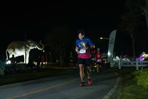 BIB: 
                            <button type="button" onclick="openModal(26172098)" class="btn btn-primary btn-sm float-right btn-popup" data-toggle="modal" data-target=".modal-high-quality">
                        <i class="fas fa-shopping-cart"></i> Add to Cart
                    </button>
                                            <button type="button" onclick="isThisMe(26172098, true)" class="btn btn-success btn-sm float-right btn-popup btn-isme hidden" data-toggle="tooltip" data-placement="bottom" title="นี่คือรูปของคุณใช่ไหม คลิกที่นี่เพื่อเอาเข้าอัลบั้ม">
                        <i class="fas fa-plus"></i> Add to album
                    </button>
                    <button type="button" onclick="isThisMe(26172098, false)" class="btn btn-warning btn-sm float-right btn-popup btn-isnotme hidden">
                        <i class="fas fa-ban"></i> Remove from album
                    </button>