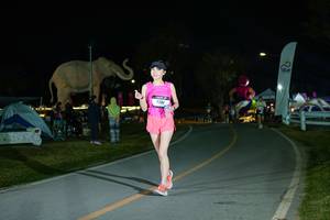 BIB: 
                            <button type="button" onclick="openModal(26173128)" class="btn btn-primary btn-sm float-right btn-popup" data-toggle="modal" data-target=".modal-high-quality">
                        <i class="fas fa-shopping-cart"></i> Add to Cart
                    </button>
                                            <button type="button" onclick="isThisMe(26173128, true)" class="btn btn-success btn-sm float-right btn-popup btn-isme hidden" data-toggle="tooltip" data-placement="bottom" title="นี่คือรูปของคุณใช่ไหม คลิกที่นี่เพื่อเอาเข้าอัลบั้ม">
                        <i class="fas fa-plus"></i> Add to album
                    </button>
                    <button type="button" onclick="isThisMe(26173128, false)" class="btn btn-warning btn-sm float-right btn-popup btn-isnotme hidden">
                        <i class="fas fa-ban"></i> Remove from album
                    </button>