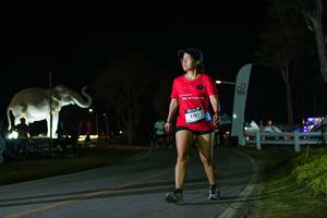 BIB: 
                            <button type="button" onclick="openModal(26172088)" class="btn btn-primary btn-sm float-right btn-popup" data-toggle="modal" data-target=".modal-high-quality">
                        <i class="fas fa-shopping-cart"></i> Add to Cart
                    </button>
                                            <button type="button" onclick="isThisMe(26172088, true)" class="btn btn-success btn-sm float-right btn-popup btn-isme hidden" data-toggle="tooltip" data-placement="bottom" title="นี่คือรูปของคุณใช่ไหม คลิกที่นี่เพื่อเอาเข้าอัลบั้ม">
                        <i class="fas fa-plus"></i> Add to album
                    </button>
                    <button type="button" onclick="isThisMe(26172088, false)" class="btn btn-warning btn-sm float-right btn-popup btn-isnotme hidden">
                        <i class="fas fa-ban"></i> Remove from album
                    </button>