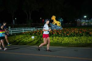 BIB: 
                            <button type="button" onclick="openModal(26171044)" class="btn btn-primary btn-sm float-right btn-popup" data-toggle="modal" data-target=".modal-high-quality">
                        <i class="fas fa-shopping-cart"></i> Add to Cart
                    </button>
                                            <button type="button" onclick="isThisMe(26171044, true)" class="btn btn-success btn-sm float-right btn-popup btn-isme hidden" data-toggle="tooltip" data-placement="bottom" title="นี่คือรูปของคุณใช่ไหม คลิกที่นี่เพื่อเอาเข้าอัลบั้ม">
                        <i class="fas fa-plus"></i> Add to album
                    </button>
                    <button type="button" onclick="isThisMe(26171044, false)" class="btn btn-warning btn-sm float-right btn-popup btn-isnotme hidden">
                        <i class="fas fa-ban"></i> Remove from album
                    </button>