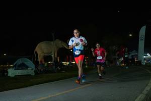 BIB: 
                            <button type="button" onclick="openModal(26172434)" class="btn btn-primary btn-sm float-right btn-popup" data-toggle="modal" data-target=".modal-high-quality">
                        <i class="fas fa-shopping-cart"></i> Add to Cart
                    </button>
                                            <button type="button" onclick="isThisMe(26172434, true)" class="btn btn-success btn-sm float-right btn-popup btn-isme hidden" data-toggle="tooltip" data-placement="bottom" title="นี่คือรูปของคุณใช่ไหม คลิกที่นี่เพื่อเอาเข้าอัลบั้ม">
                        <i class="fas fa-plus"></i> Add to album
                    </button>
                    <button type="button" onclick="isThisMe(26172434, false)" class="btn btn-warning btn-sm float-right btn-popup btn-isnotme hidden">
                        <i class="fas fa-ban"></i> Remove from album
                    </button>