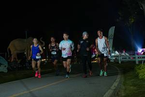 BIB: 
                            <button type="button" onclick="openModal(26172768)" class="btn btn-primary btn-sm float-right btn-popup" data-toggle="modal" data-target=".modal-high-quality">
                        <i class="fas fa-shopping-cart"></i> Add to Cart
                    </button>
                                            <button type="button" onclick="isThisMe(26172768, true)" class="btn btn-success btn-sm float-right btn-popup btn-isme hidden" data-toggle="tooltip" data-placement="bottom" title="นี่คือรูปของคุณใช่ไหม คลิกที่นี่เพื่อเอาเข้าอัลบั้ม">
                        <i class="fas fa-plus"></i> Add to album
                    </button>
                    <button type="button" onclick="isThisMe(26172768, false)" class="btn btn-warning btn-sm float-right btn-popup btn-isnotme hidden">
                        <i class="fas fa-ban"></i> Remove from album
                    </button>