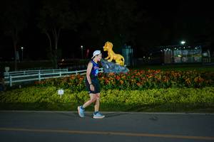 BIB: 
                            <button type="button" onclick="openModal(26170731)" class="btn btn-primary btn-sm float-right btn-popup" data-toggle="modal" data-target=".modal-high-quality">
                        <i class="fas fa-shopping-cart"></i> Add to Cart
                    </button>
                                            <button type="button" onclick="isThisMe(26170731, true)" class="btn btn-success btn-sm float-right btn-popup btn-isme hidden" data-toggle="tooltip" data-placement="bottom" title="นี่คือรูปของคุณใช่ไหม คลิกที่นี่เพื่อเอาเข้าอัลบั้ม">
                        <i class="fas fa-plus"></i> Add to album
                    </button>
                    <button type="button" onclick="isThisMe(26170731, false)" class="btn btn-warning btn-sm float-right btn-popup btn-isnotme hidden">
                        <i class="fas fa-ban"></i> Remove from album
                    </button>