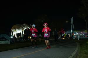 BIB: 
                            <button type="button" onclick="openModal(26172239)" class="btn btn-primary btn-sm float-right btn-popup" data-toggle="modal" data-target=".modal-high-quality">
                        <i class="fas fa-shopping-cart"></i> Add to Cart
                    </button>
                                            <button type="button" onclick="isThisMe(26172239, true)" class="btn btn-success btn-sm float-right btn-popup btn-isme hidden" data-toggle="tooltip" data-placement="bottom" title="นี่คือรูปของคุณใช่ไหม คลิกที่นี่เพื่อเอาเข้าอัลบั้ม">
                        <i class="fas fa-plus"></i> Add to album
                    </button>
                    <button type="button" onclick="isThisMe(26172239, false)" class="btn btn-warning btn-sm float-right btn-popup btn-isnotme hidden">
                        <i class="fas fa-ban"></i> Remove from album
                    </button>