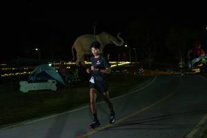 BIB: 
                            <button type="button" onclick="openModal(26173057)" class="btn btn-primary btn-sm float-right btn-popup" data-toggle="modal" data-target=".modal-high-quality">
                        <i class="fas fa-shopping-cart"></i> Add to Cart
                    </button>
                                            <button type="button" onclick="isThisMe(26173057, true)" class="btn btn-success btn-sm float-right btn-popup btn-isme hidden" data-toggle="tooltip" data-placement="bottom" title="นี่คือรูปของคุณใช่ไหม คลิกที่นี่เพื่อเอาเข้าอัลบั้ม">
                        <i class="fas fa-plus"></i> Add to album
                    </button>
                    <button type="button" onclick="isThisMe(26173057, false)" class="btn btn-warning btn-sm float-right btn-popup btn-isnotme hidden">
                        <i class="fas fa-ban"></i> Remove from album
                    </button>