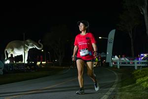 BIB: 
                            <button type="button" onclick="openModal(26172090)" class="btn btn-primary btn-sm float-right btn-popup" data-toggle="modal" data-target=".modal-high-quality">
                        <i class="fas fa-shopping-cart"></i> Add to Cart
                    </button>
                                            <button type="button" onclick="isThisMe(26172090, true)" class="btn btn-success btn-sm float-right btn-popup btn-isme hidden" data-toggle="tooltip" data-placement="bottom" title="นี่คือรูปของคุณใช่ไหม คลิกที่นี่เพื่อเอาเข้าอัลบั้ม">
                        <i class="fas fa-plus"></i> Add to album
                    </button>
                    <button type="button" onclick="isThisMe(26172090, false)" class="btn btn-warning btn-sm float-right btn-popup btn-isnotme hidden">
                        <i class="fas fa-ban"></i> Remove from album
                    </button>