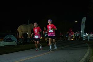 BIB: 
                            <button type="button" onclick="openModal(26172776)" class="btn btn-primary btn-sm float-right btn-popup" data-toggle="modal" data-target=".modal-high-quality">
                        <i class="fas fa-shopping-cart"></i> Add to Cart
                    </button>
                                            <button type="button" onclick="isThisMe(26172776, true)" class="btn btn-success btn-sm float-right btn-popup btn-isme hidden" data-toggle="tooltip" data-placement="bottom" title="นี่คือรูปของคุณใช่ไหม คลิกที่นี่เพื่อเอาเข้าอัลบั้ม">
                        <i class="fas fa-plus"></i> Add to album
                    </button>
                    <button type="button" onclick="isThisMe(26172776, false)" class="btn btn-warning btn-sm float-right btn-popup btn-isnotme hidden">
                        <i class="fas fa-ban"></i> Remove from album
                    </button>