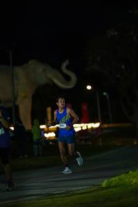 BIB: 
                            <button type="button" onclick="openModal(26173087)" class="btn btn-primary btn-sm float-right btn-popup" data-toggle="modal" data-target=".modal-high-quality">
                        <i class="fas fa-shopping-cart"></i> Add to Cart
                    </button>
                                            <button type="button" onclick="isThisMe(26173087, true)" class="btn btn-success btn-sm float-right btn-popup btn-isme hidden" data-toggle="tooltip" data-placement="bottom" title="นี่คือรูปของคุณใช่ไหม คลิกที่นี่เพื่อเอาเข้าอัลบั้ม">
                        <i class="fas fa-plus"></i> Add to album
                    </button>
                    <button type="button" onclick="isThisMe(26173087, false)" class="btn btn-warning btn-sm float-right btn-popup btn-isnotme hidden">
                        <i class="fas fa-ban"></i> Remove from album
                    </button>