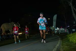 BIB: 
                            <button type="button" onclick="openModal(26172712)" class="btn btn-primary btn-sm float-right btn-popup" data-toggle="modal" data-target=".modal-high-quality">
                        <i class="fas fa-shopping-cart"></i> Add to Cart
                    </button>
                                            <button type="button" onclick="isThisMe(26172712, true)" class="btn btn-success btn-sm float-right btn-popup btn-isme hidden" data-toggle="tooltip" data-placement="bottom" title="นี่คือรูปของคุณใช่ไหม คลิกที่นี่เพื่อเอาเข้าอัลบั้ม">
                        <i class="fas fa-plus"></i> Add to album
                    </button>
                    <button type="button" onclick="isThisMe(26172712, false)" class="btn btn-warning btn-sm float-right btn-popup btn-isnotme hidden">
                        <i class="fas fa-ban"></i> Remove from album
                    </button>