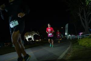 BIB: 
                            <button type="button" onclick="openModal(26171938)" class="btn btn-primary btn-sm float-right btn-popup" data-toggle="modal" data-target=".modal-high-quality">
                        <i class="fas fa-shopping-cart"></i> Add to Cart
                    </button>
                                            <button type="button" onclick="isThisMe(26171938, true)" class="btn btn-success btn-sm float-right btn-popup btn-isme hidden" data-toggle="tooltip" data-placement="bottom" title="นี่คือรูปของคุณใช่ไหม คลิกที่นี่เพื่อเอาเข้าอัลบั้ม">
                        <i class="fas fa-plus"></i> Add to album
                    </button>
                    <button type="button" onclick="isThisMe(26171938, false)" class="btn btn-warning btn-sm float-right btn-popup btn-isnotme hidden">
                        <i class="fas fa-ban"></i> Remove from album
                    </button>